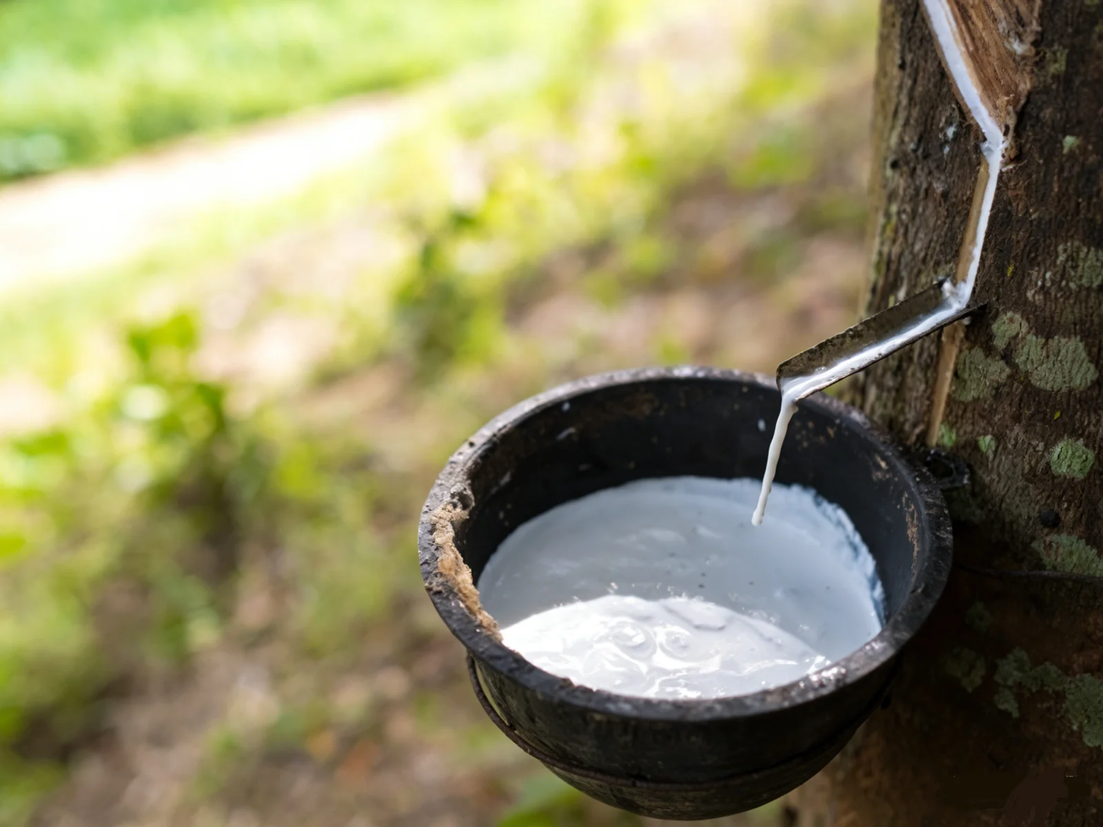 Waterproof hunting boots for extreme weather conditions