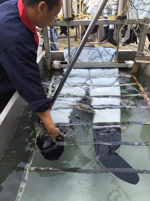 100% Waterproof Test for Our Waders