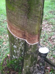 Natural Rubber Boot Material
